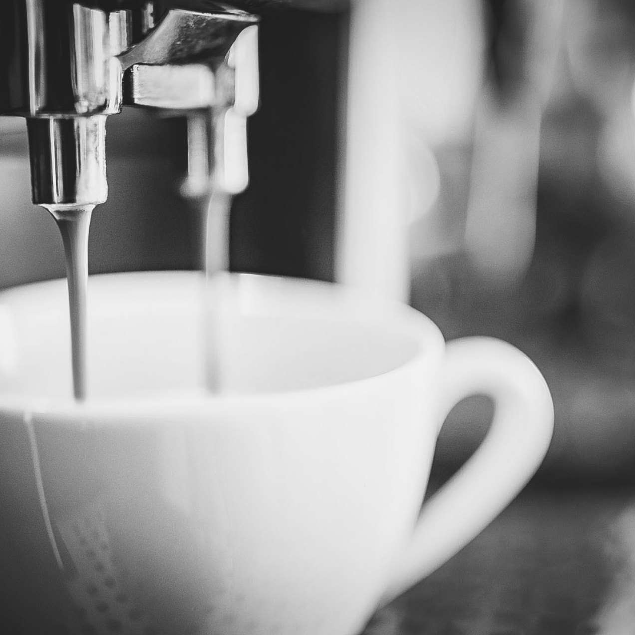 Arianna e i segreti del caffè perfetto