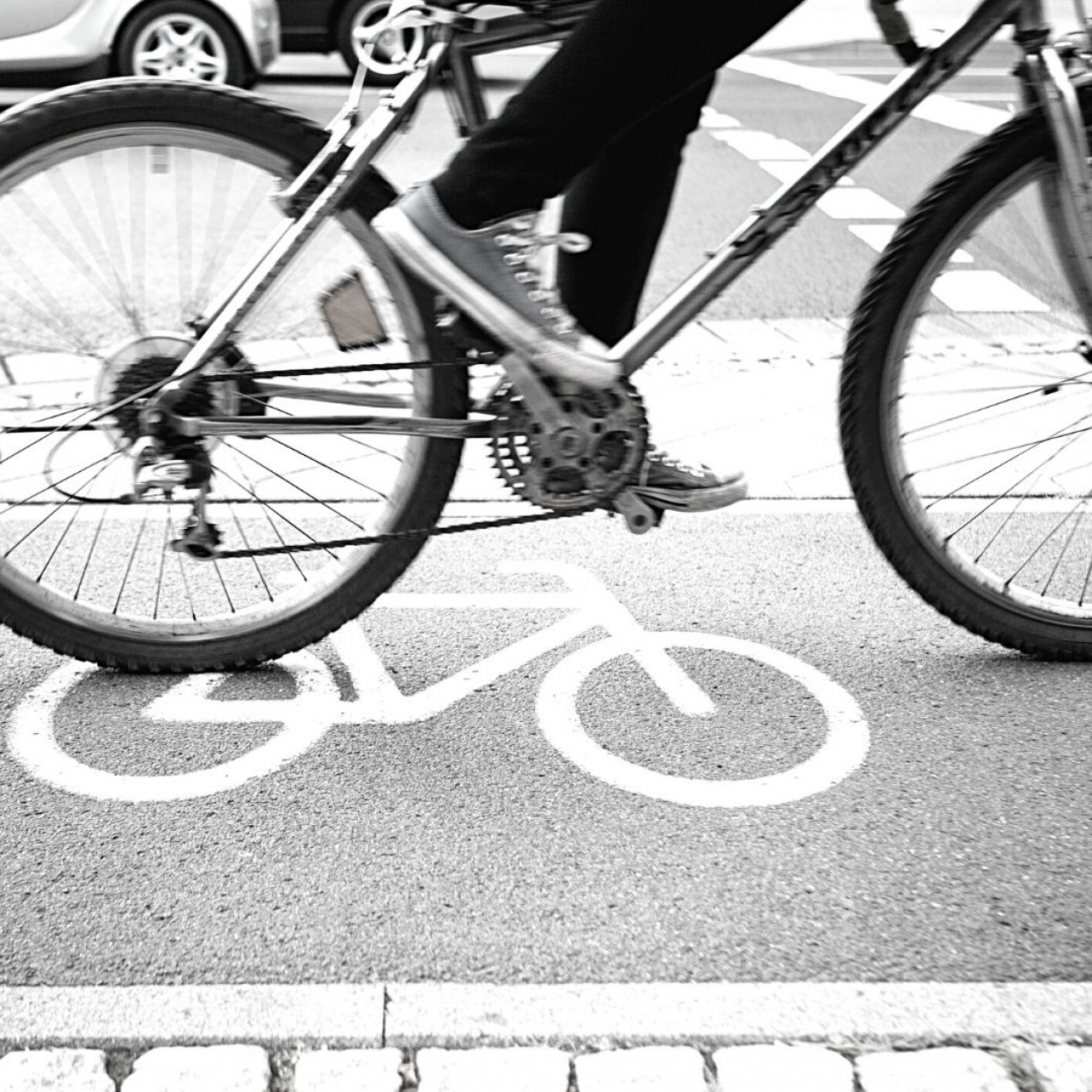 Pista ciclabile tra Frascati e Grottaferrata, un paio di riflessioni